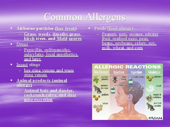 Common Allergens § Airborne particles (hay fever) – Grass, weeds, timothy grass, birch trees,