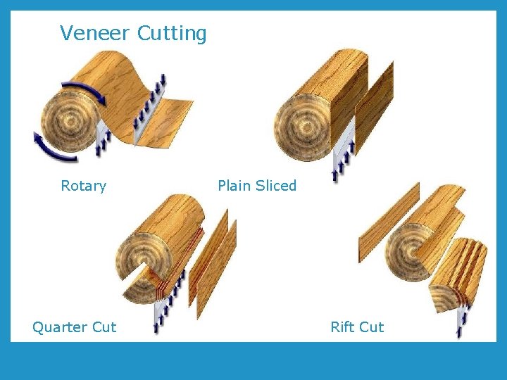 Veneer Cutting Rotary Quarter Cut Plain Sliced Rift Cut 