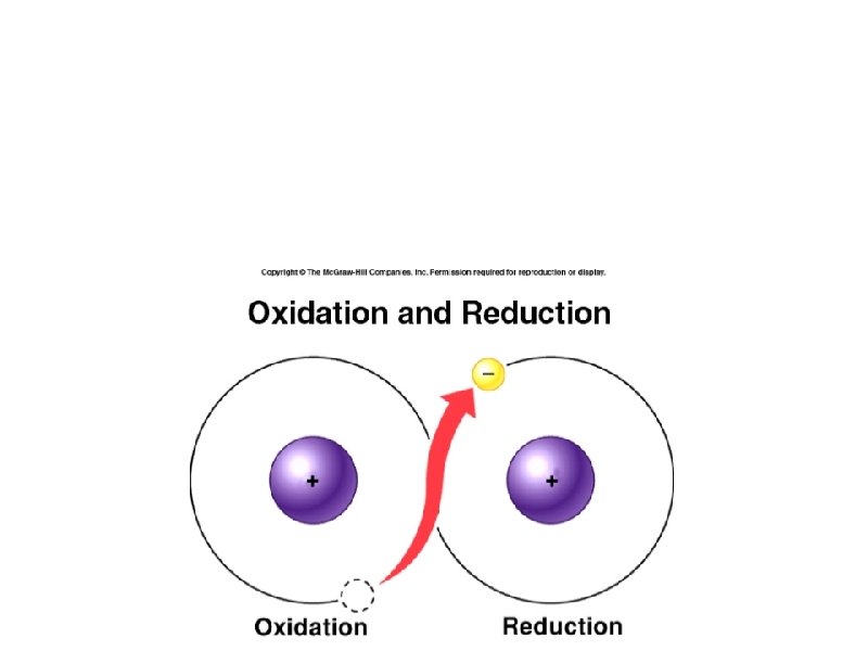 Coupled Reactions Get the Work Done a. Oxidation & Reduction b. ETC & pumping