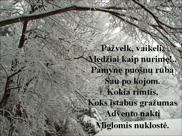 Pažvelk, vaikeli, Medžiai kaip nurimę!. . Pamynę puošnų rūbą Sau po kojom. Kokia rimtis,