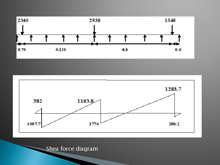 Shea force diagram 