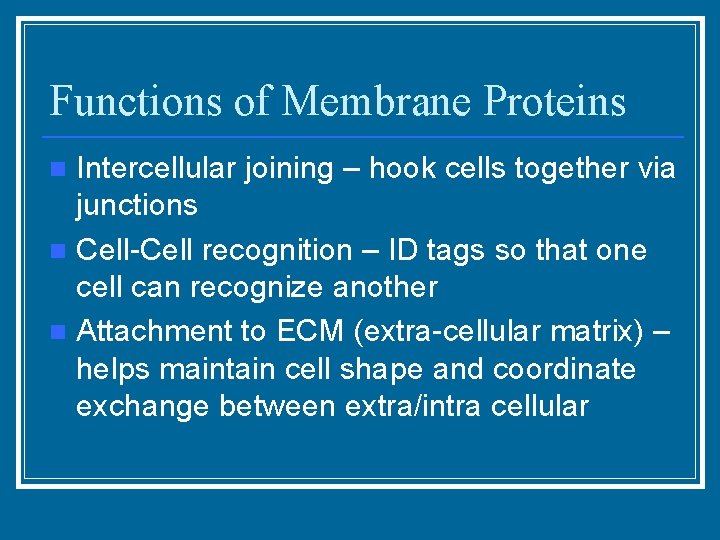 Functions of Membrane Proteins Intercellular joining – hook cells together via junctions n Cell-Cell