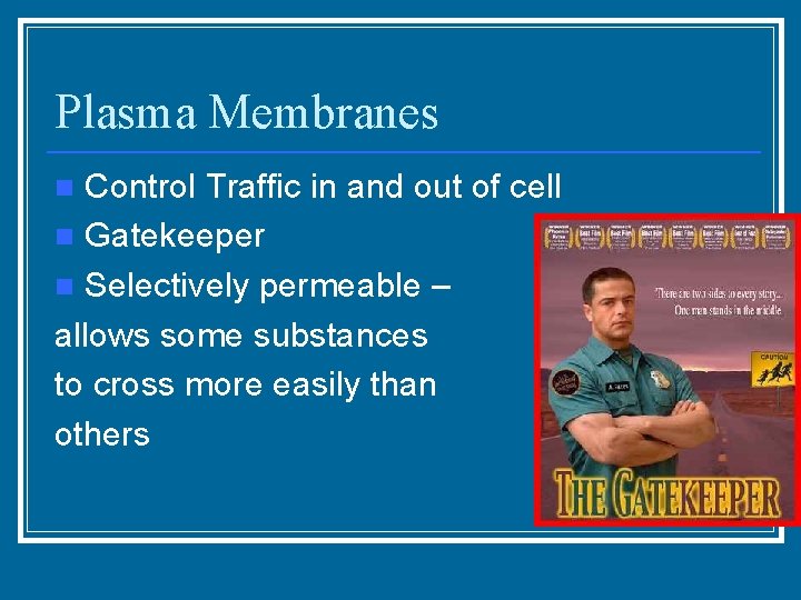 Plasma Membranes Control Traffic in and out of cell n Gatekeeper n Selectively permeable