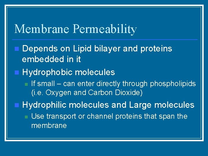 Membrane Permeability Depends on Lipid bilayer and proteins embedded in it n Hydrophobic molecules