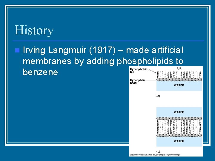 History n Irving Langmuir (1917) – made artificial membranes by adding phospholipids to benzene
