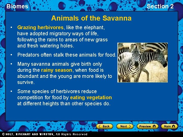 Biomes Section 2 Animals of the Savanna • Grazing herbivores, like the elephant, have