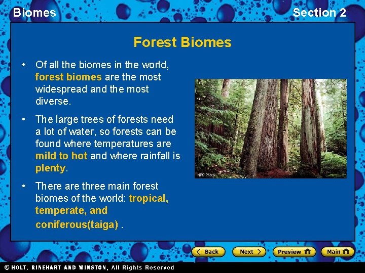 Biomes Section 2 Forest Biomes • Of all the biomes in the world, forest