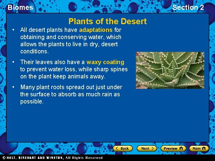 Biomes Section 2 Plants of the Desert • All desert plants have adaptations for