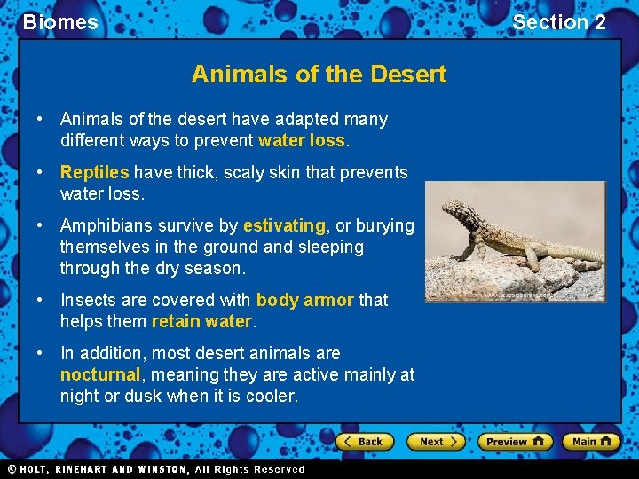 Biomes Section 2 Animals of the Desert • Animals of the desert have adapted