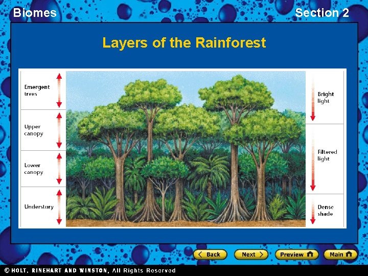 Biomes Section 2 Layers of the Rainforest 