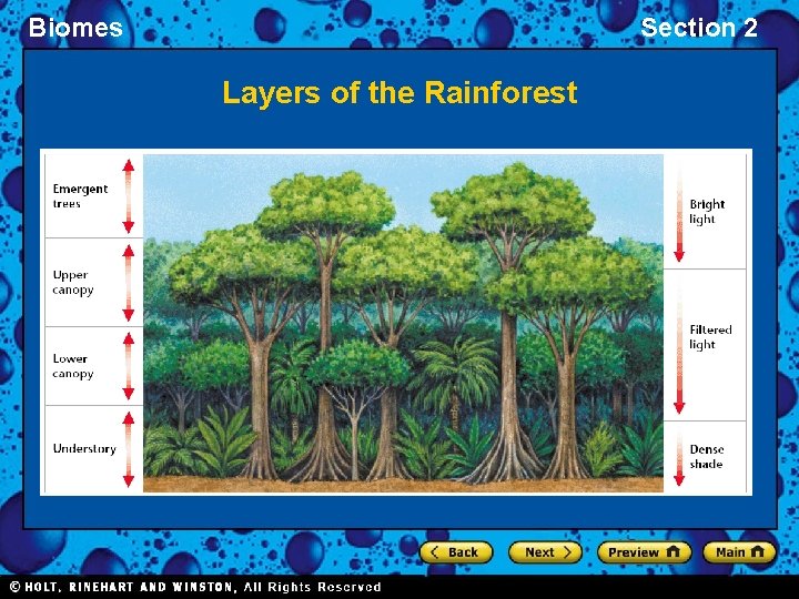 Biomes Section 2 Layers of the Rainforest Biomes Section 2 Layers of the Rainforest