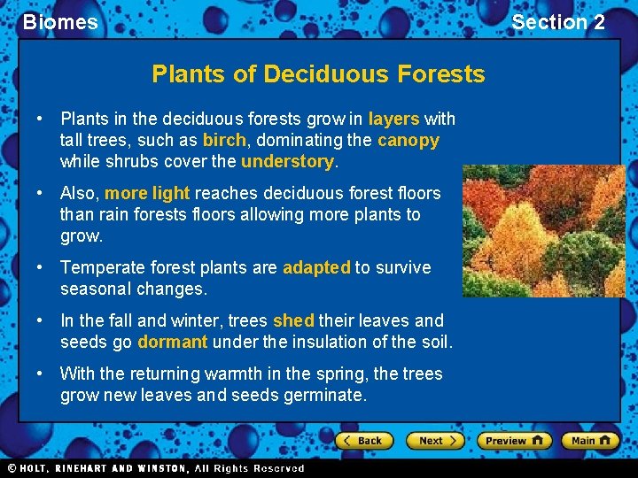 Biomes Section 2 Plants of Deciduous Forests • Plants in the deciduous forests grow