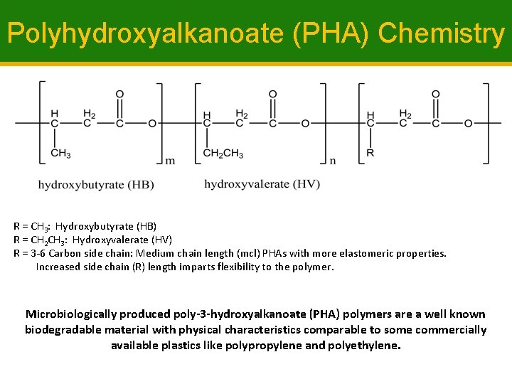 Polyhydroxyalkanoate (PHA) Chemistry R = CH 3: Hydroxybutyrate (HB) R = CH 2 CH