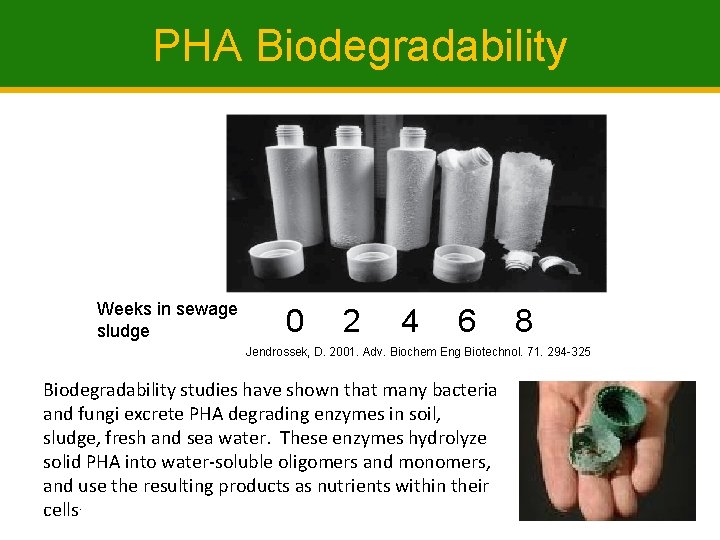 PHA Biodegradability Weeks in sewage sludge 0 2 4 6 8 Jendrossek, D. 2001.