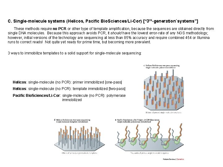 C. Single-molecule systems (Helicos, Pacific Bio. Sciences/Li-Cor) [“ 3 rd-generation´systems”] These methods require no