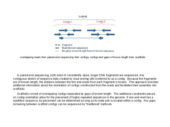 overlapping reads from paired-end sequencing form contigs; contigs and gaps of known length form