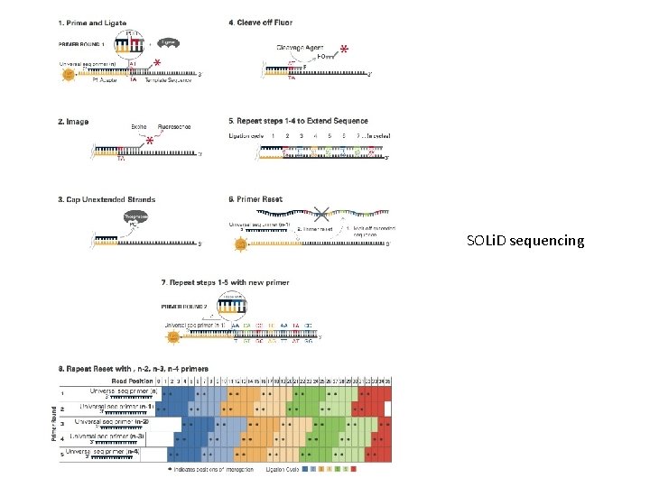 SOLi. D sequencing 