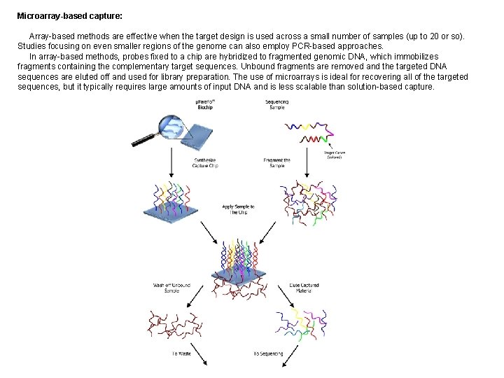Microarray-based capture: Array-based methods are effective when the target design is used across a