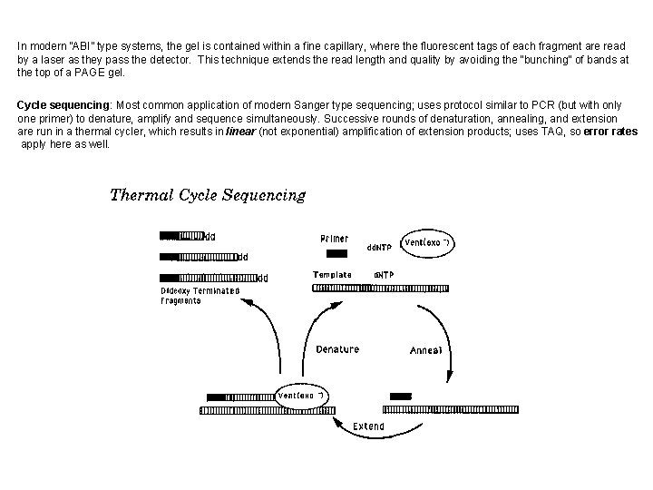 In modern “ABI” type systems, the gel is contained within a fine capillary, where