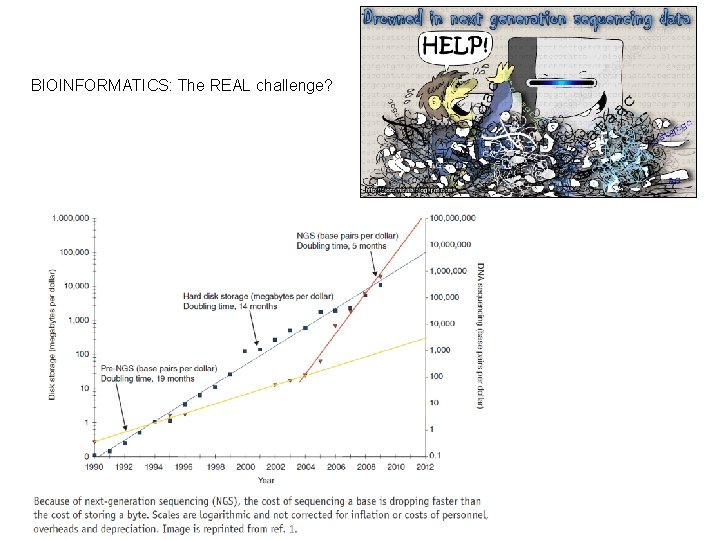 BIOINFORMATICS: The REAL challenge? 