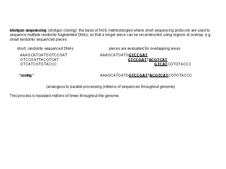 shotgun sequencing (shotgun cloning): the basis of NGS methodologies where short sequencing protocols are