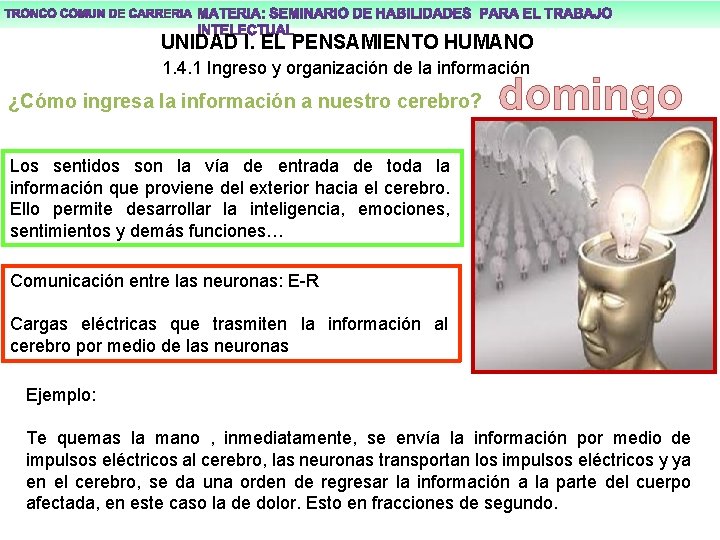 UNIDAD I. EL PENSAMIENTO HUMANO 1. 4. 1 Ingreso y organización de la información