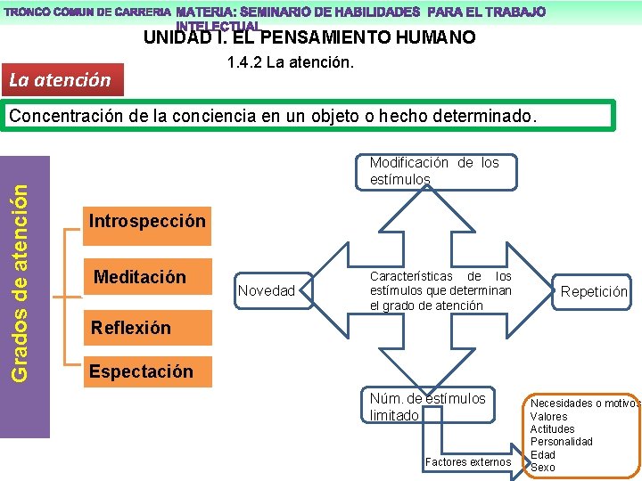 UNIDAD I. EL PENSAMIENTO HUMANO La atención 1. 4. 2 La atención. Grados de