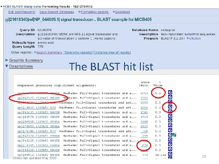 The BLAST hit list Slides last updated May 2009 13 