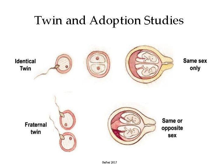 Twin and Adoption Studies 17 Garber 2017 