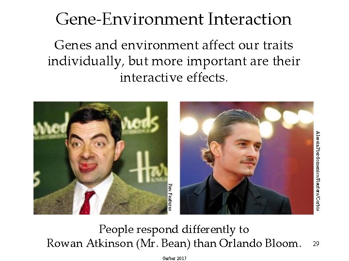 Gene-Environment Interaction Genes and environment affect our traits individually, but more important are their