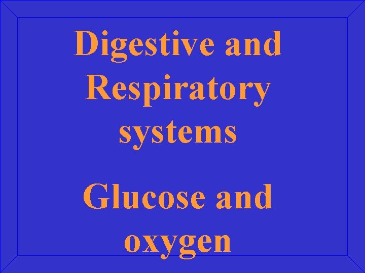 Digestive and Respiratory systems Glucose and oxygen 