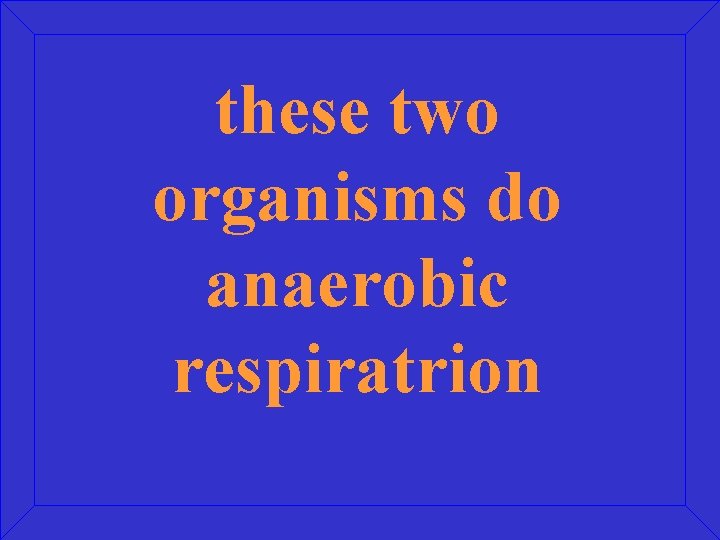these two organisms do anaerobic respiratrion 