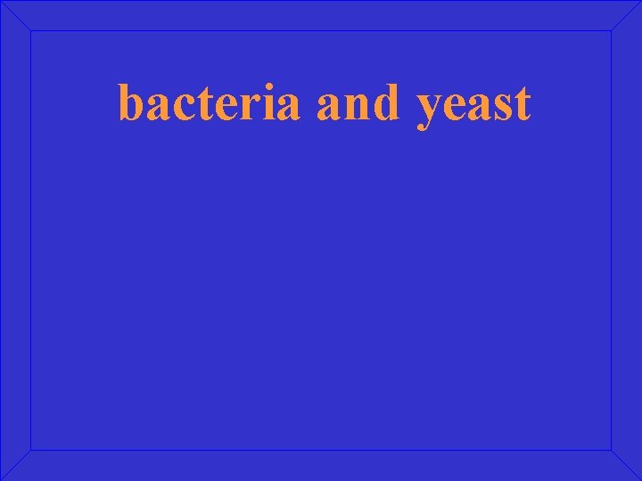 bacteria and yeast 