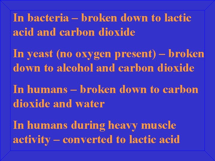 In bacteria – broken down to lactic acid and carbon dioxide In yeast (no