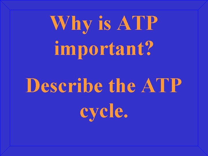 Why is ATP important? Describe the ATP cycle. 