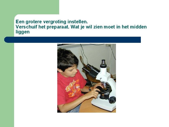 Een grotere vergroting instellen. Verschuif het preparaat. Wat je wil zien moet in het Een grotere vergroting instellen. Verschuif het preparaat. Wat je wil zien moet in het