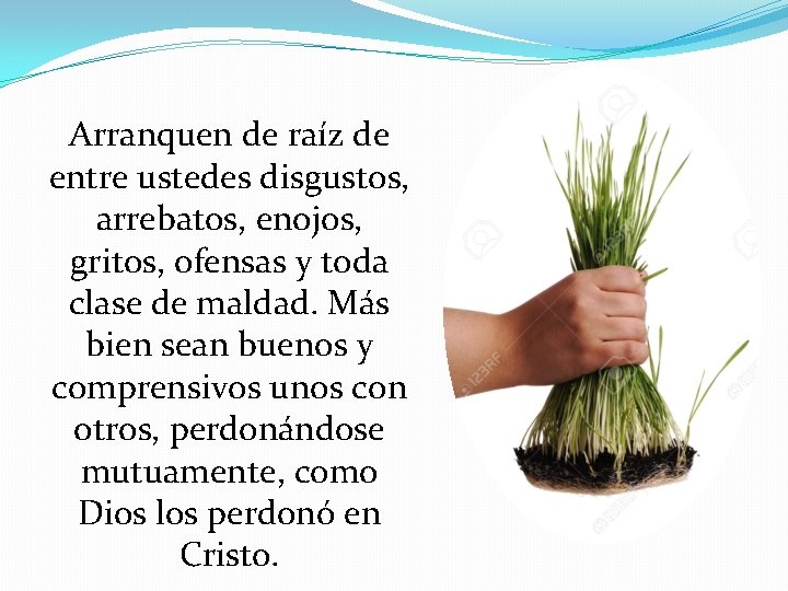 Arranquen de raíz de entre ustedes disgustos, arrebatos, enojos, gritos, ofensas y toda clase