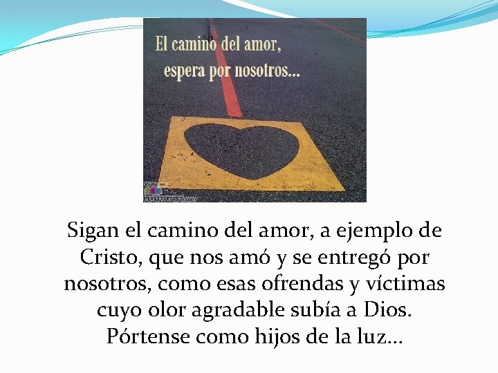 Sigan el camino del amor, a ejemplo de Cristo, que nos amó y se