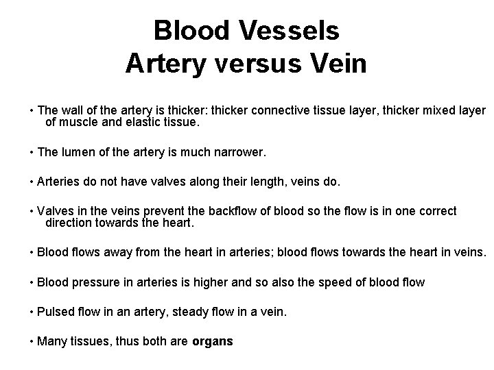 Blood Vessels Artery versus Vein • The wall of the artery is thicker: thicker