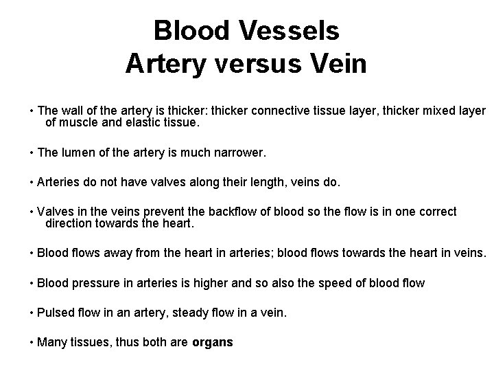 Blood Vessels Artery versus Vein • The wall of the artery is thicker: thicker