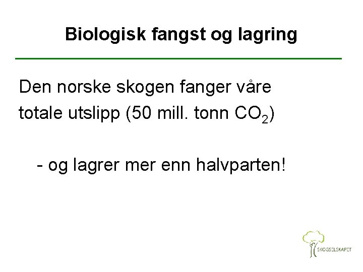 Biologisk fangst og lagring Den norske skogen fanger våre totale utslipp (50 mill. tonn