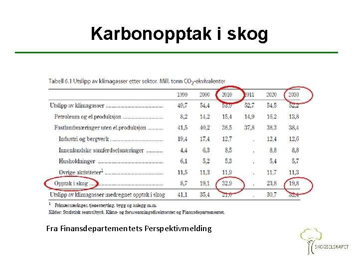 Karbonopptak i skog Fra Finansdepartementets Perspektivmelding 