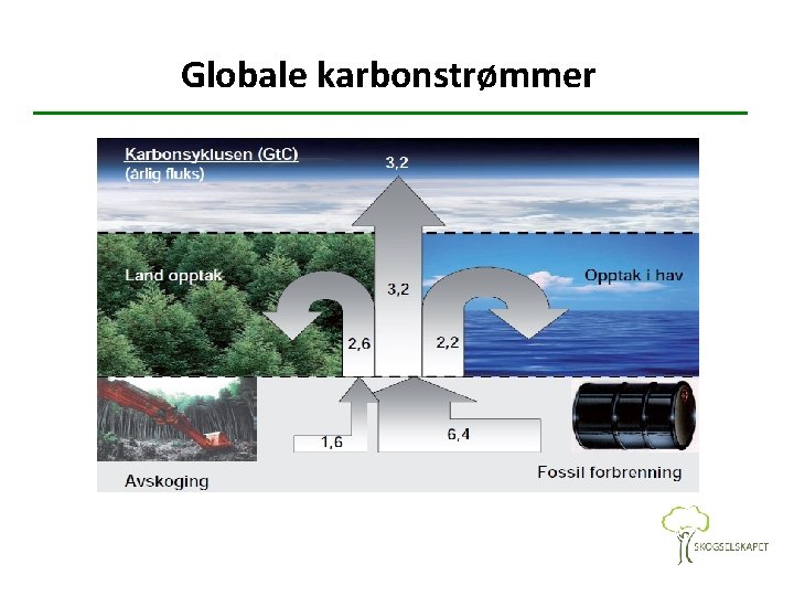 Globale karbonstrømmer 