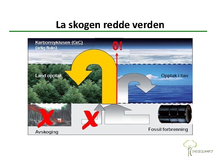 La skogen redde verden 