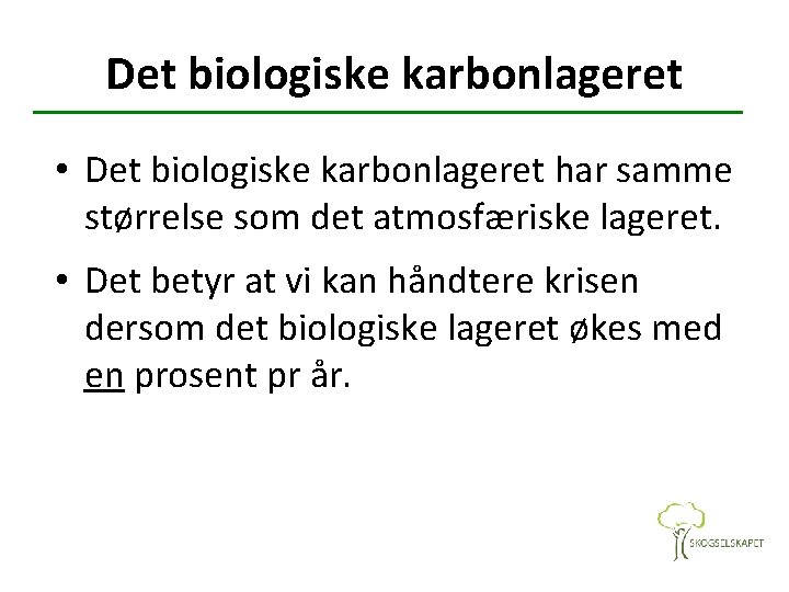 Det biologiske karbonlageret • Det biologiske karbonlageret har samme størrelse som det atmosfæriske lageret.