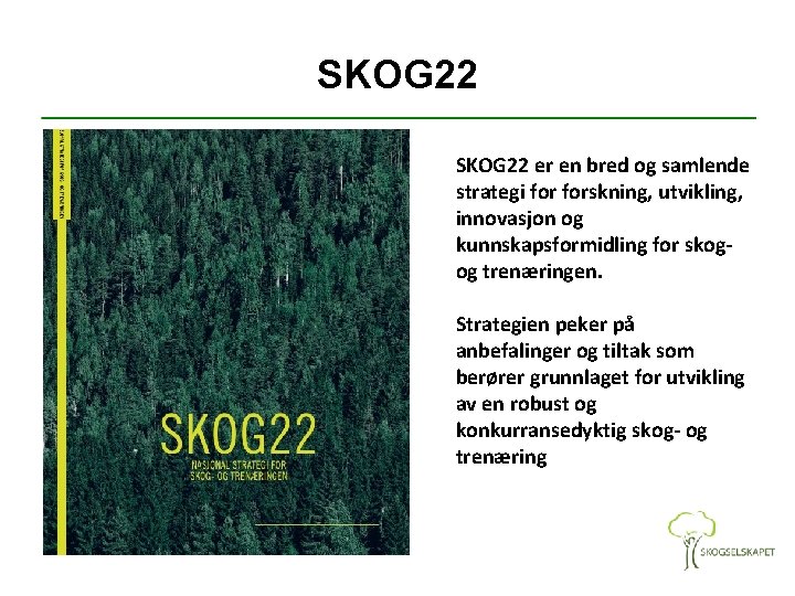 SKOG 22 er en bred og samlende strategi forskning, utvikling, innovasjon og kunnskapsformidling for