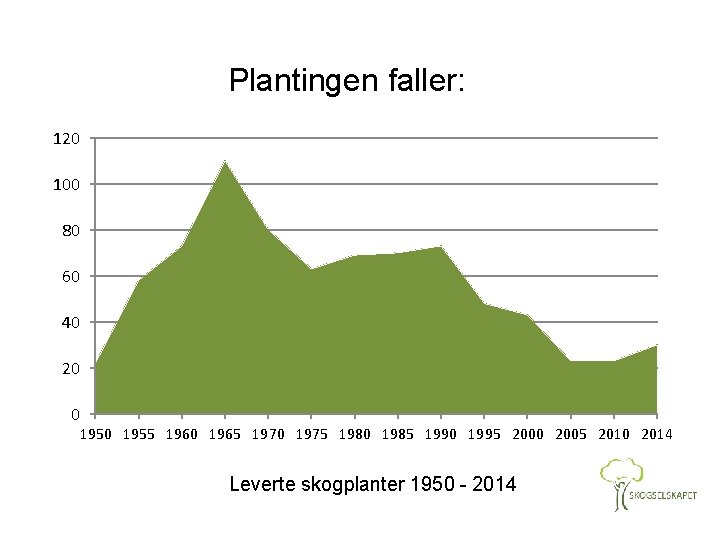 Plantingen faller: 120 100 80 60 40 20 0 1955 1960 1965 1970 1975