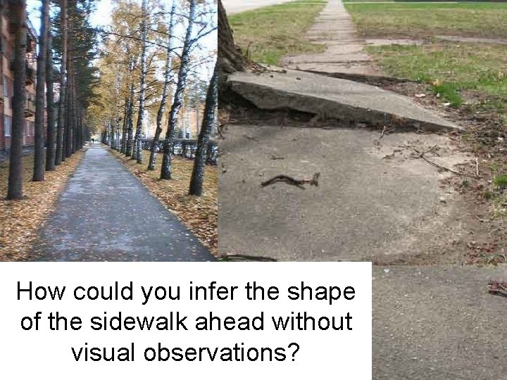 How could you infer the shape of the sidewalk ahead without visual observations? 