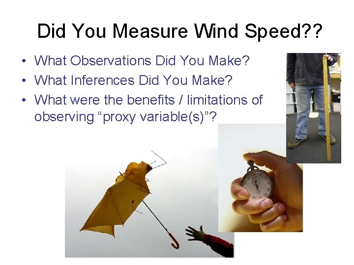 Did You Measure Wind Speed? ? • What Observations Did You Make? • What