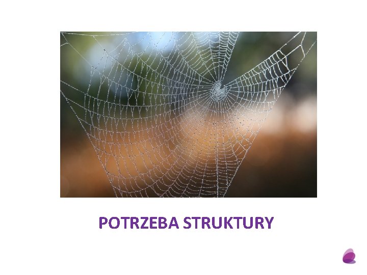 POTRZEBA STRUKTURY 